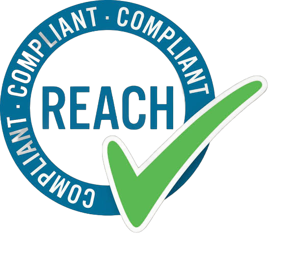 REACH Icon